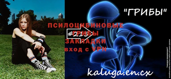 тгк Богородск