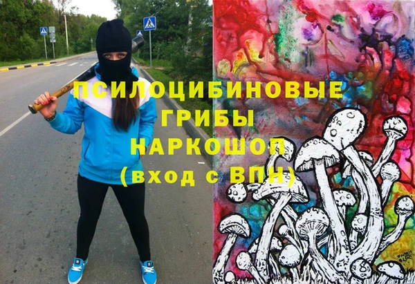 тгк Богородск